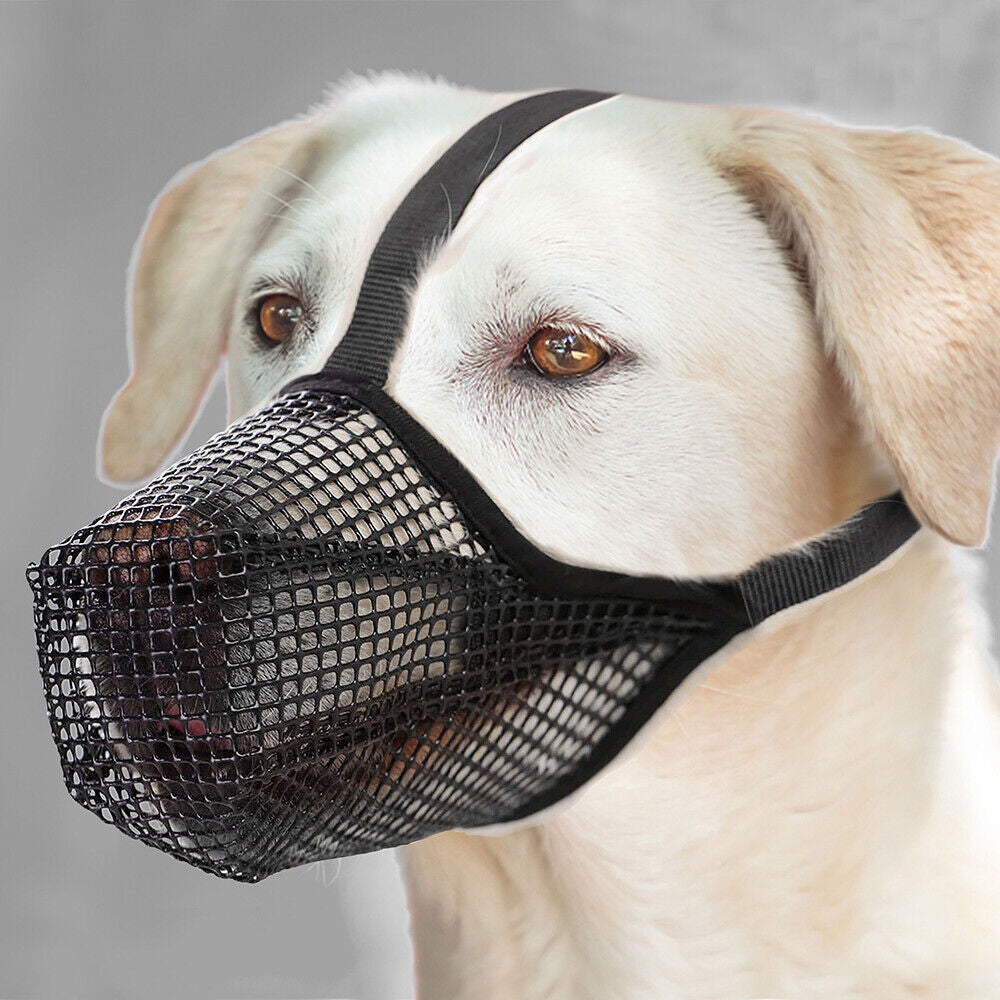 Pet Dog Muzzle Adjustable Mesh Covered Muzzles Breathable Pet Muzzle L Size