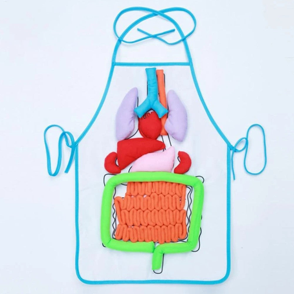 Human Organs Children Teaching Apron with Hook and Loop Tapes