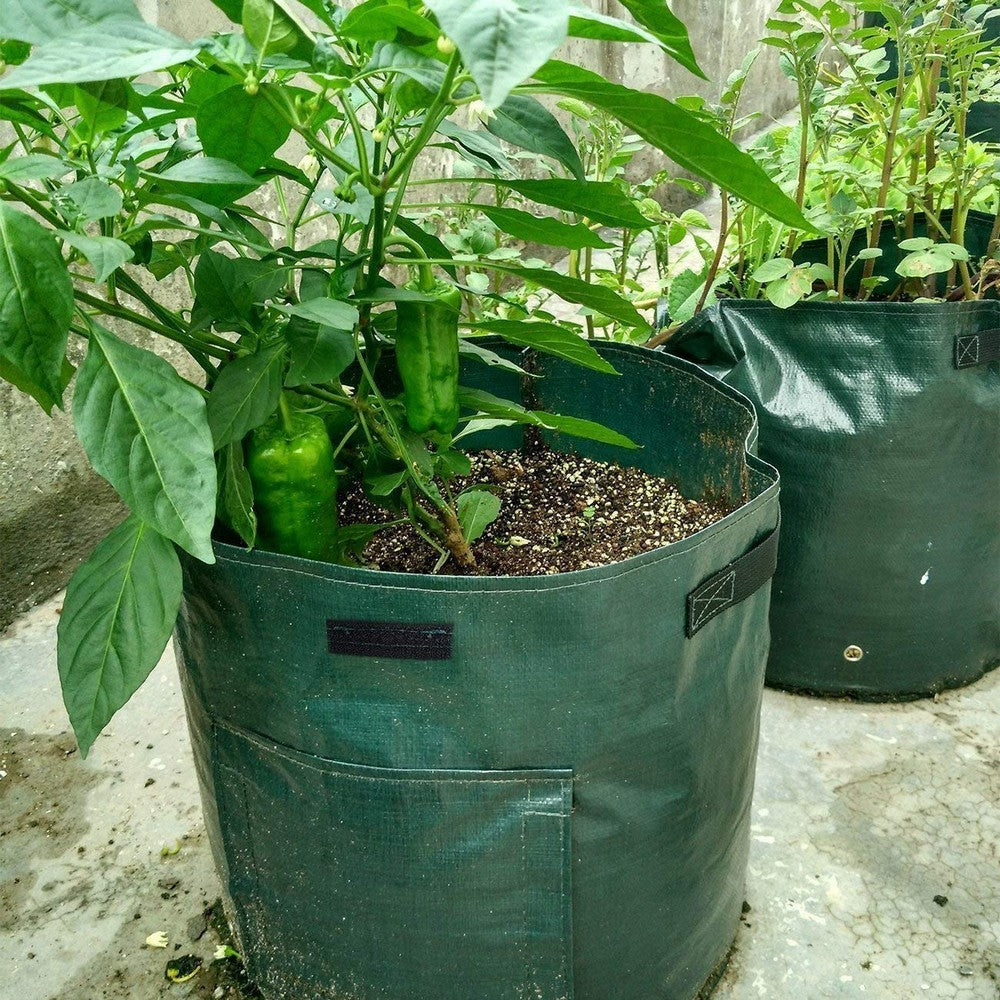 2X 50L Potato Planter Bags